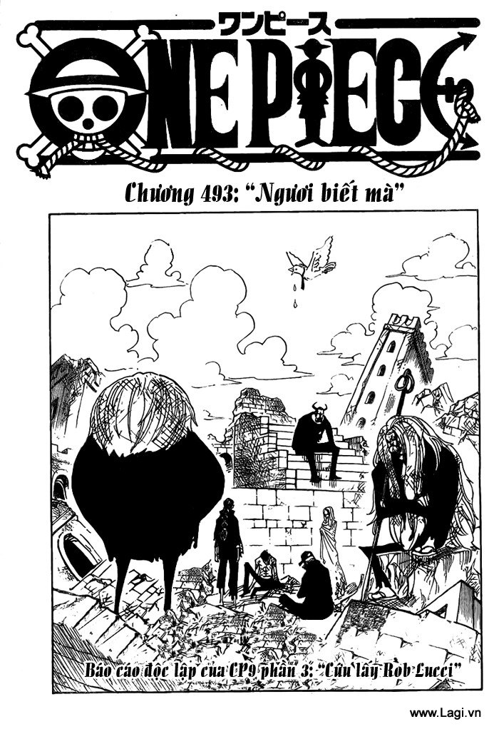 One Piece - Đảo Hải Tặc Chapter 493 - Image 1
