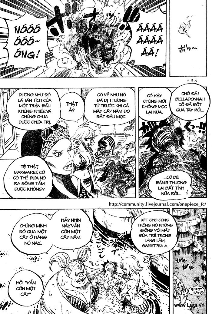 One Piece - Đảo Hải Tặc Chapter 514 - Image 15