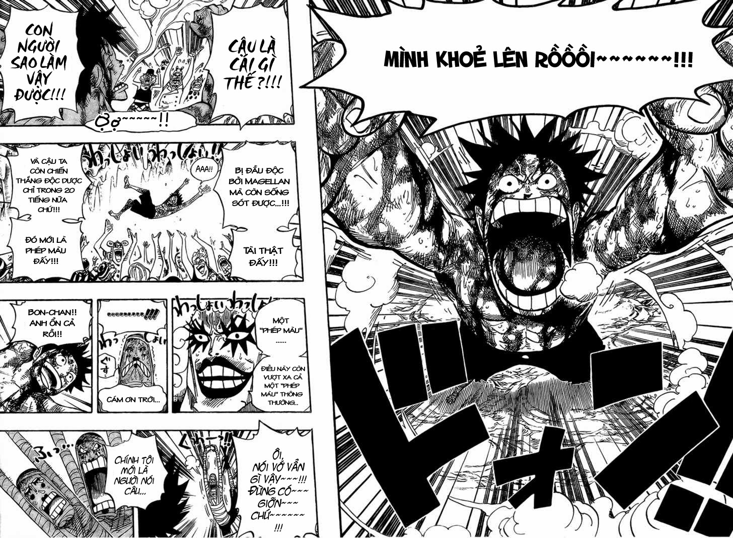 One Piece - Đảo Hải Tặc Chapter 539 - Image 3