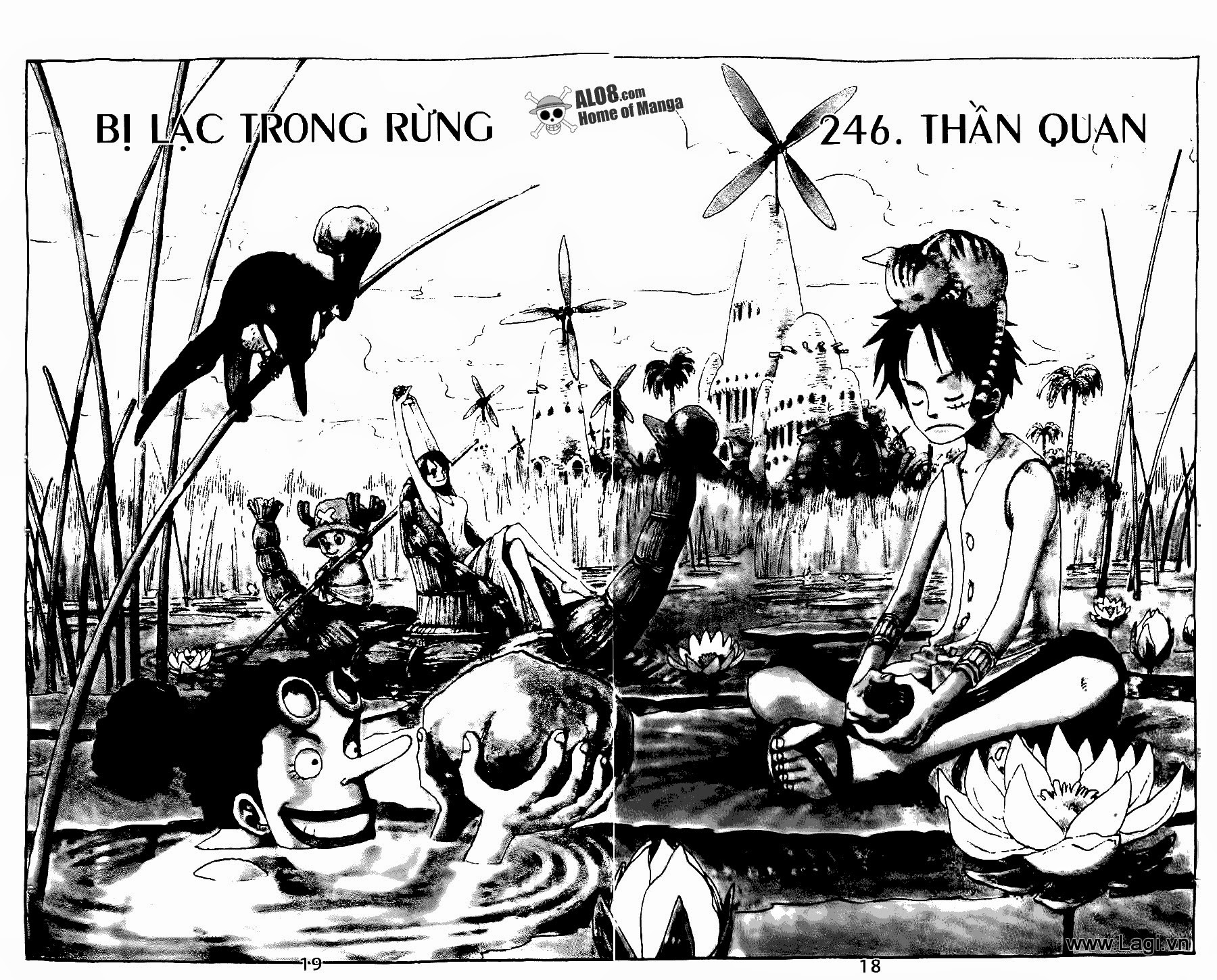 One Piece - Đảo Hải Tặc Chapter 246 - Image 1