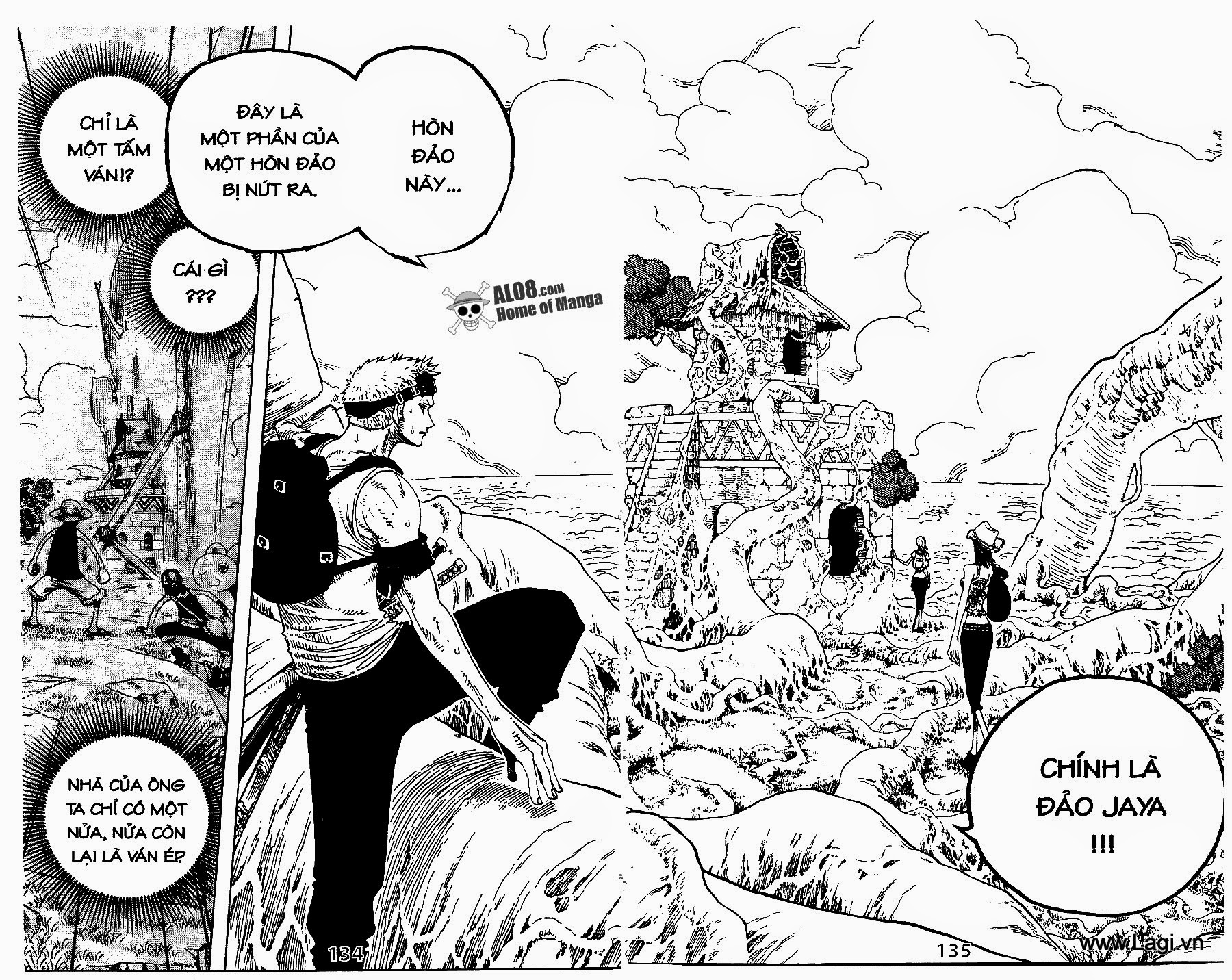 One Piece - Đảo Hải Tặc Chapter 251 - Image 16