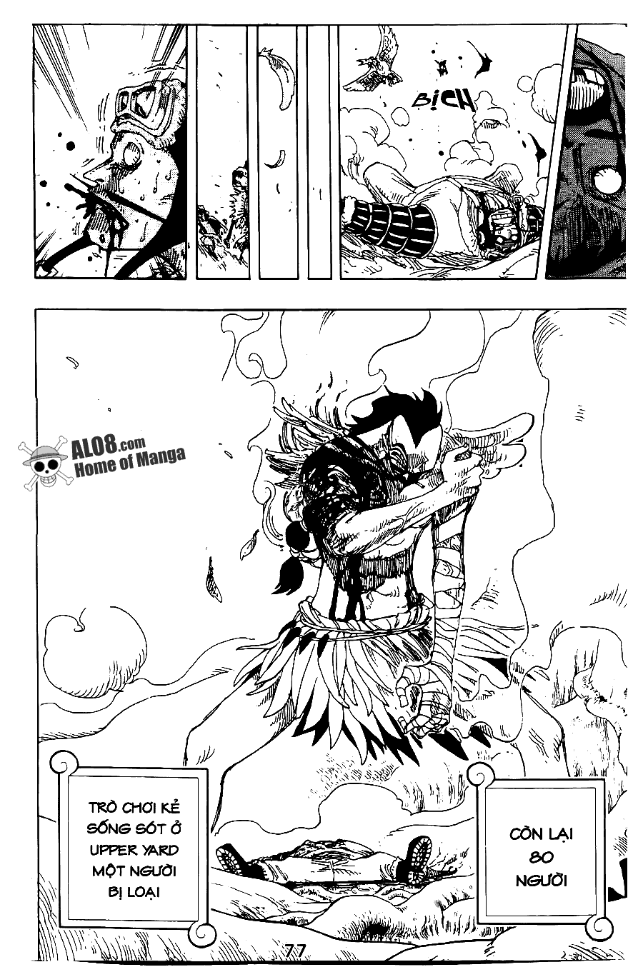 One Piece - Đảo Hải Tặc Chapter 256 - Image 19