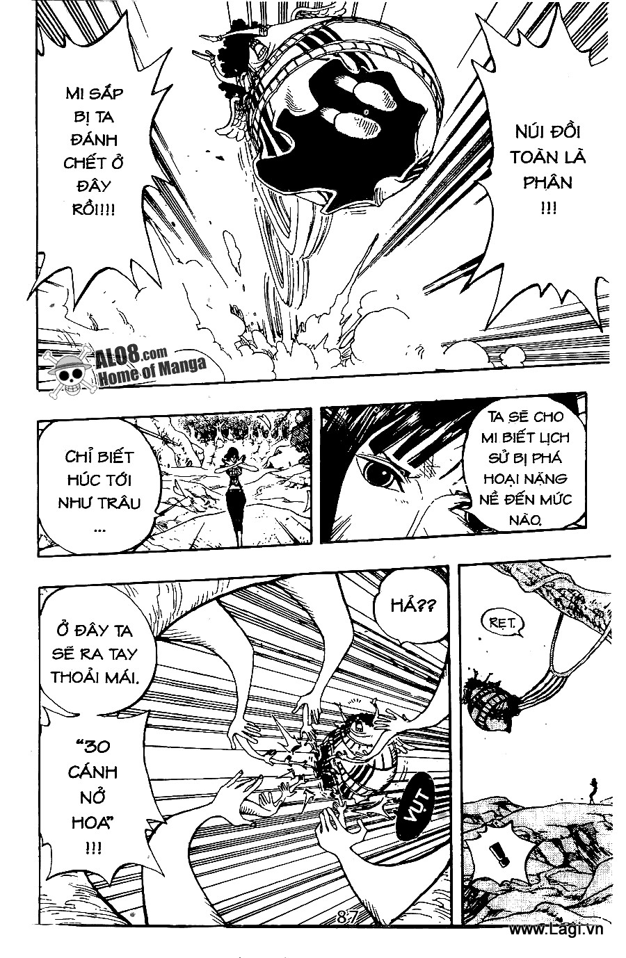 One Piece - Đảo Hải Tặc Chapter 265 - Image 11