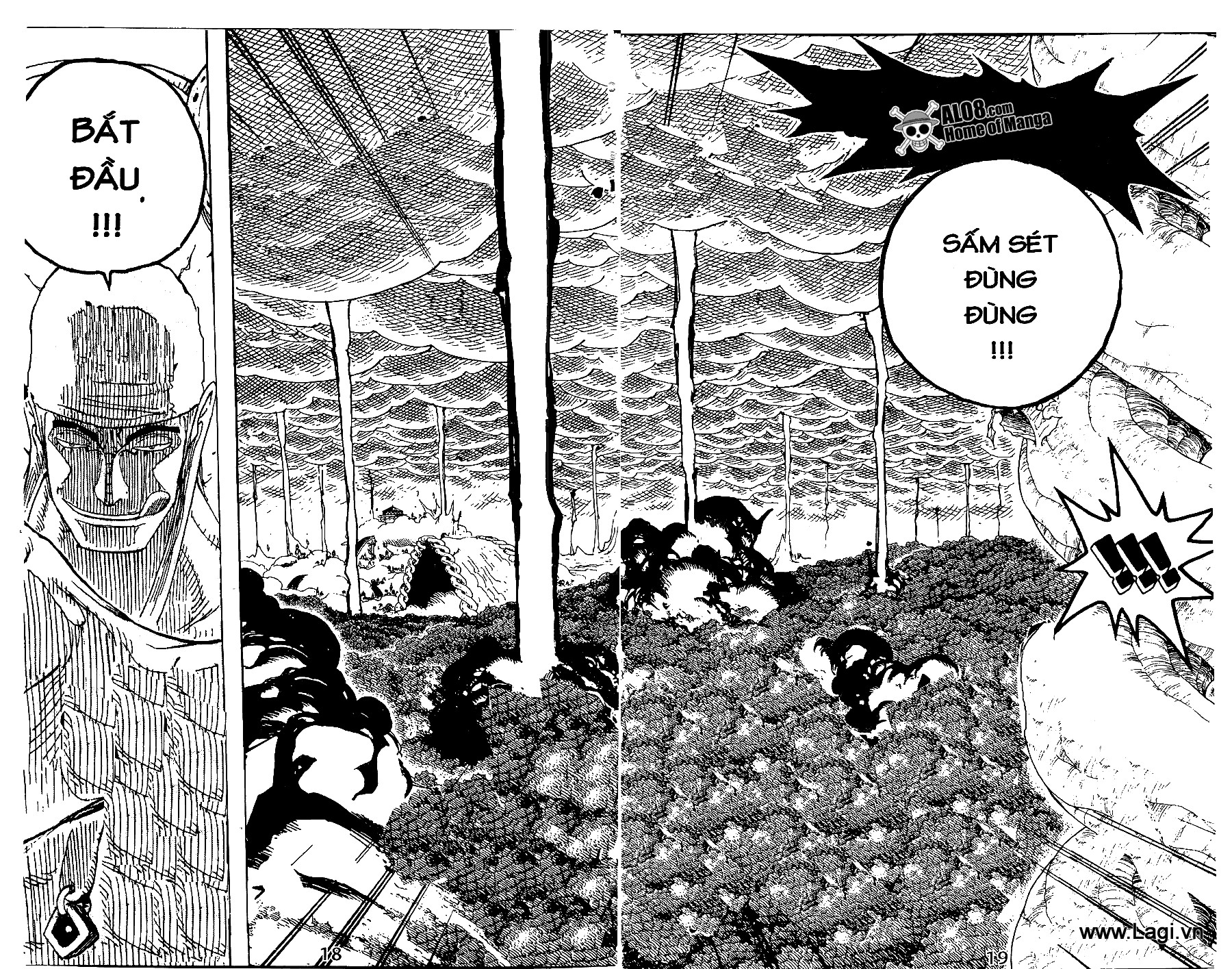 One Piece - Đảo Hải Tặc Chapter 285 - Image 18